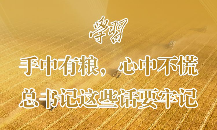 【学习】手中有粮，心中不慌！总书记这些话要牢记