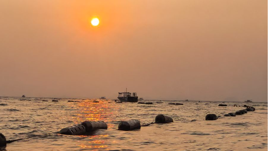 数字化教学手段在小学数学课堂中的应用