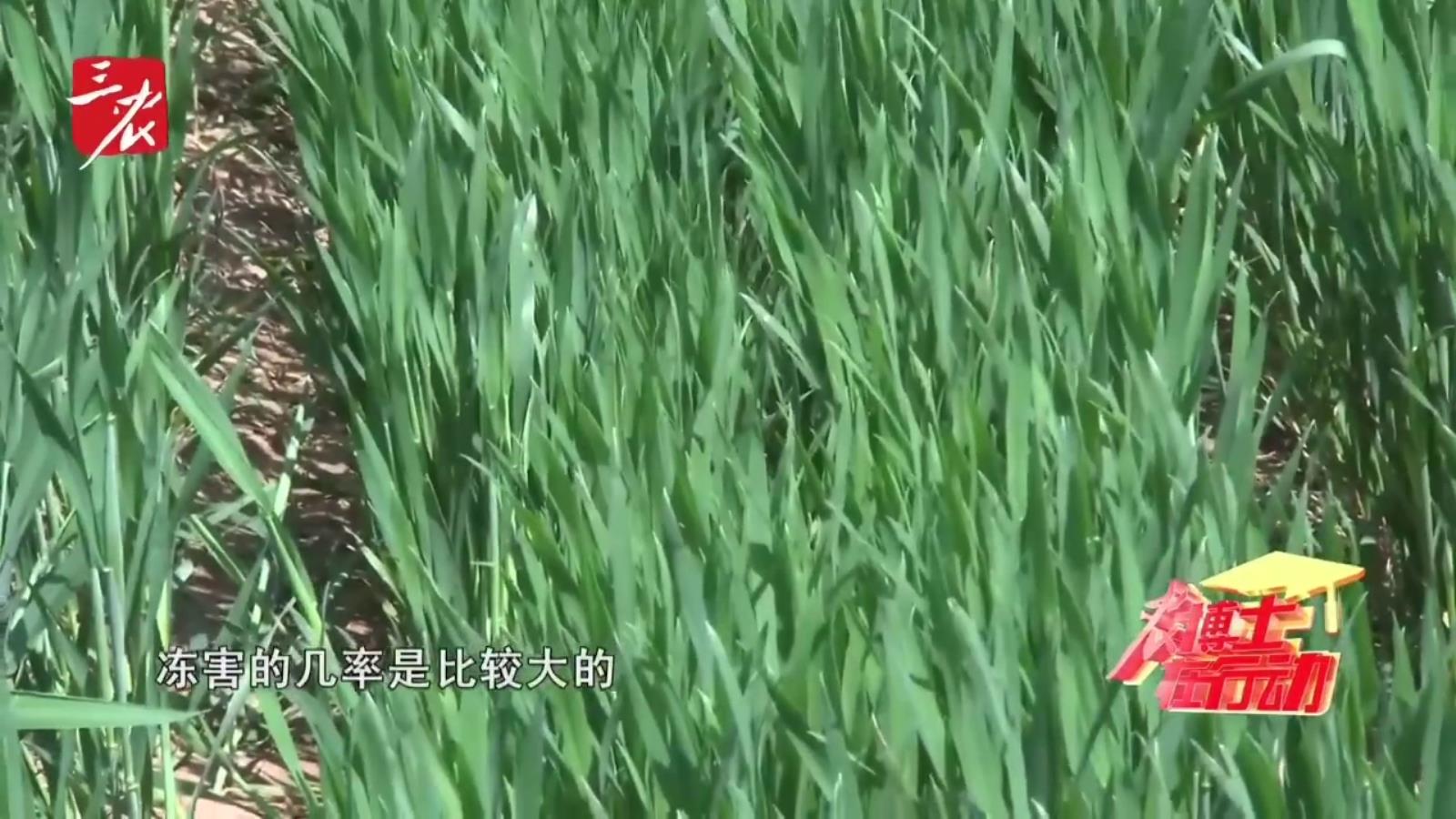 农博士在行动20250512