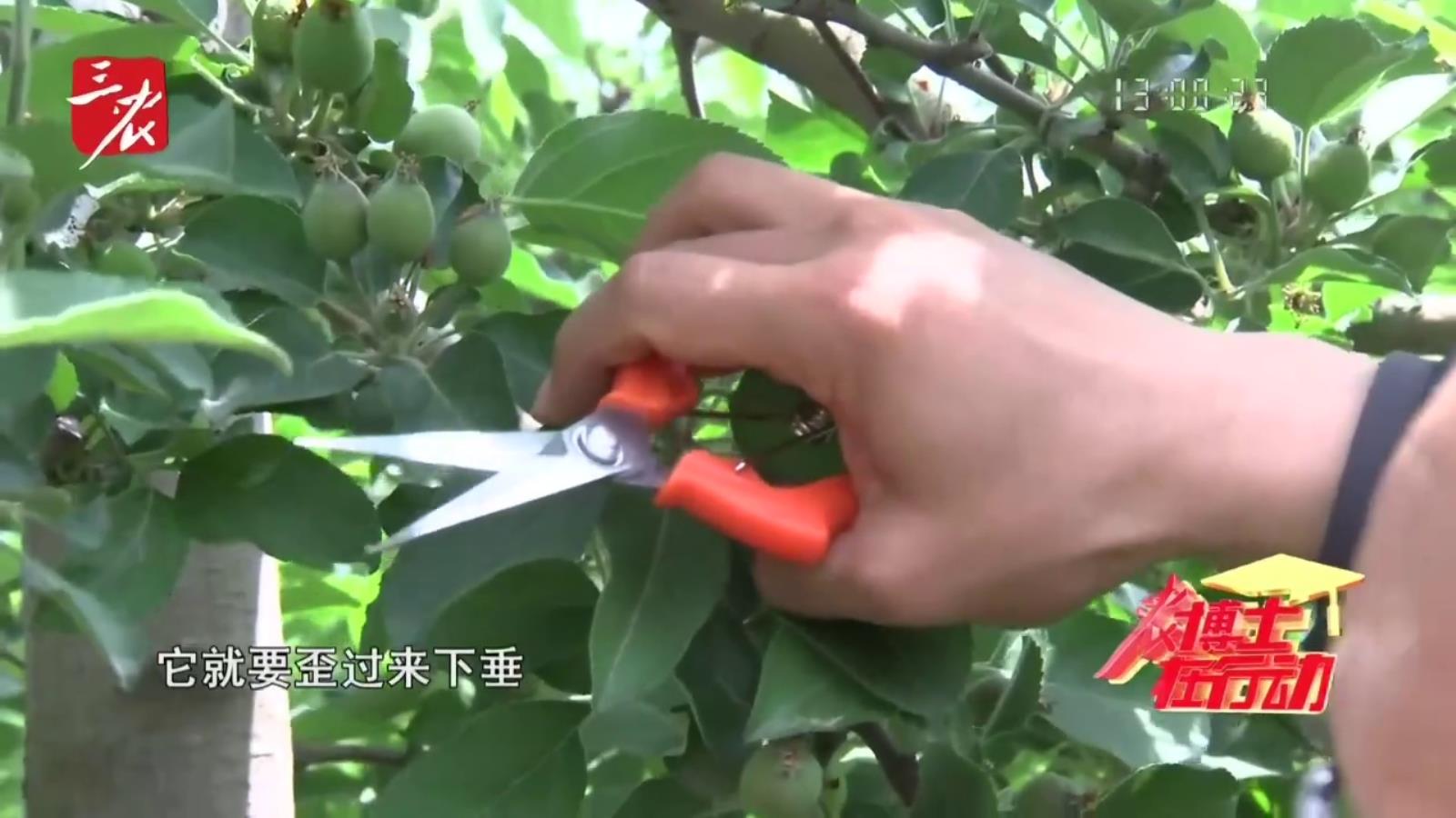 农博士在行动20250527