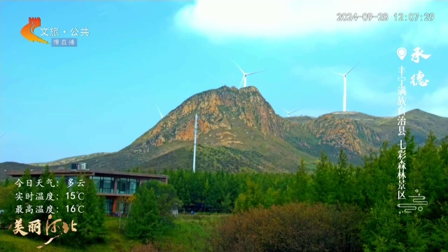 美丽河北慢直播丨来七彩森林上秋山，赏秋叶~ 承德 正午 2024/09/28#这么近，那么美，周末到河北