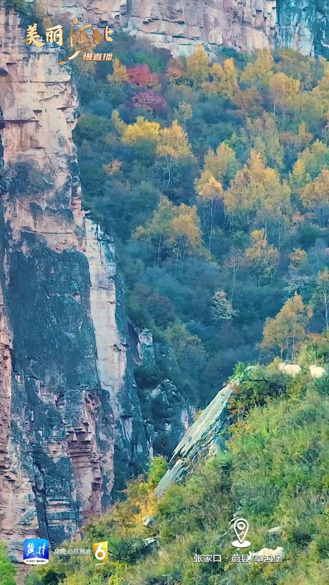 动海报｜美丽河北慢直播·张家口蔚县草沟堡