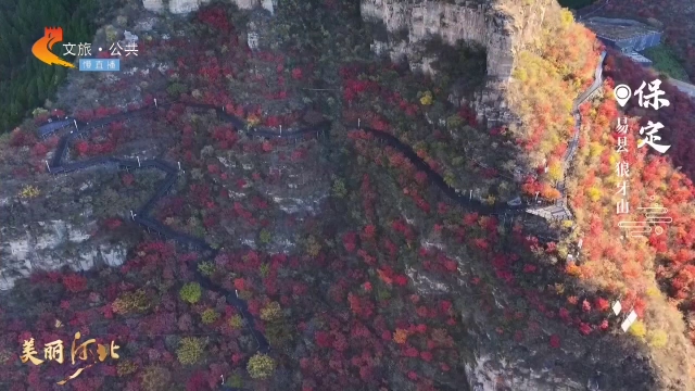 美丽河北见证官张铭洋作品欣赏丨赏红叶当然狼牙山！