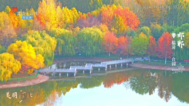 美丽河北慢直播丨碧水盈盈晨光好，彩叶满园景致娇 清晨 2024/11/18#这么近，那么美，周末到河北