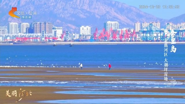 美丽河北慢直播丨大潮坪湿地冬日限定“海冰”奇景，美轮美奂 秦皇岛 正午 2024/12/23#这么近，那么美，周末到河北