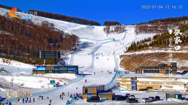 美丽河北慢直播丨滑雪时间到！@雪搭子，崇礼冲冲冲 张家口崇礼 正午 2025/01/04#这么近，那么美，周末到河北