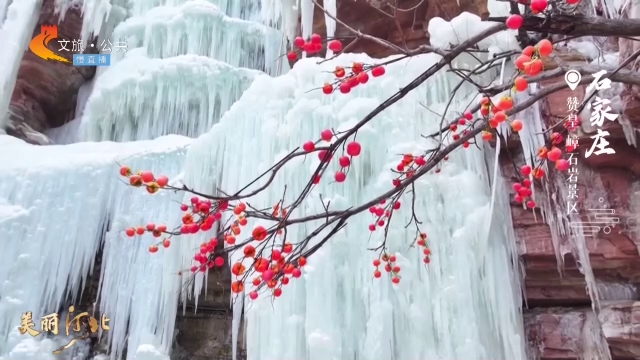 美丽河北慢直播丨嶂石岩冻凌背冰瀑，超级震撼！清晨 2025/01/25 #这么近，那么美，周末到河北