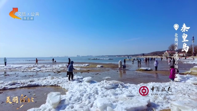 美丽河北慢直播丨漫步老虎石海上公园，踏海浪，观鸥鸟，享暖阳~秦皇岛 正午 2025/02/11#这么近，那么美，周末到河北