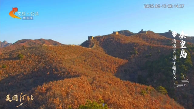 美丽河北慢直播•长城文化旅游带丨晨光洒满城子峪长城，雄风赫赫 清晨 2025/02/13#这么近，那么美，周末到河北