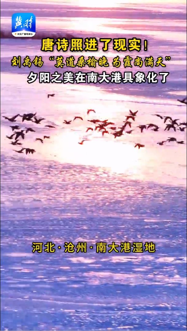 唐诗照进了现实！刘禹锡“莫道桑榆晚，为霞尚满天”，夕阳之美在南大港具象化了~~