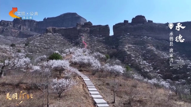 美丽河北慢直播•“冀”情山水丨唐家湾春日限定美景，快来邂逅你的浪漫花期！ 正午 2025/04/21#这么近，那么美，周末到河北