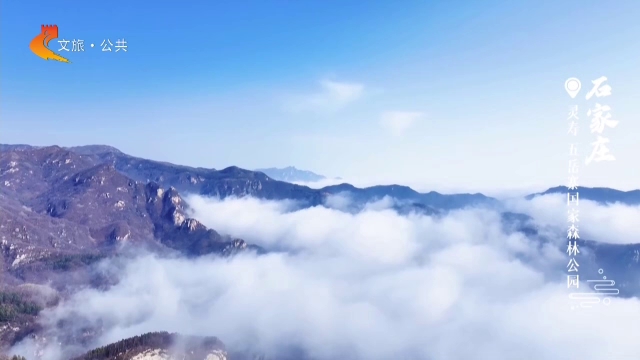 美丽河北见证官吴长新作品欣赏丨缥缈如仙，五岳寨的云海绝了！