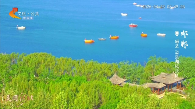 美丽河北慢直播丨山水园林，藏着邯郸的浪漫春日 清晨 2025/04/23#这么近，那么美，周末到河北