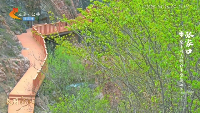 美丽河北慢直播•五一去哪儿？丨春至山城，山水含情百鸟鸣 张家口 清晨 2025/04/26#这么近，那么美，周末到河北