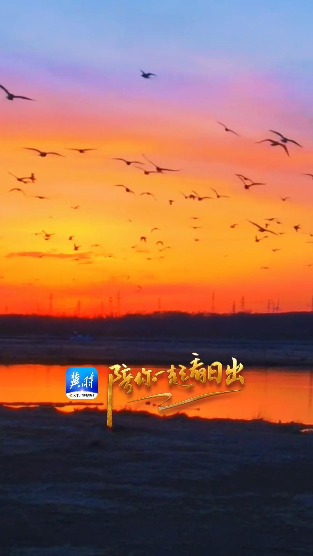 陪你一起看日出丨张家口 康巴诺尔湿地 2025.04.26