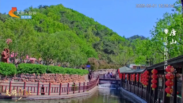 美麗河北慢直播?五一去哪兒？丨奇山碧水，勾勒屬于山葉口的詩意假期 唐山 正午 2025/05/01#這么近，那么美，周末到河北