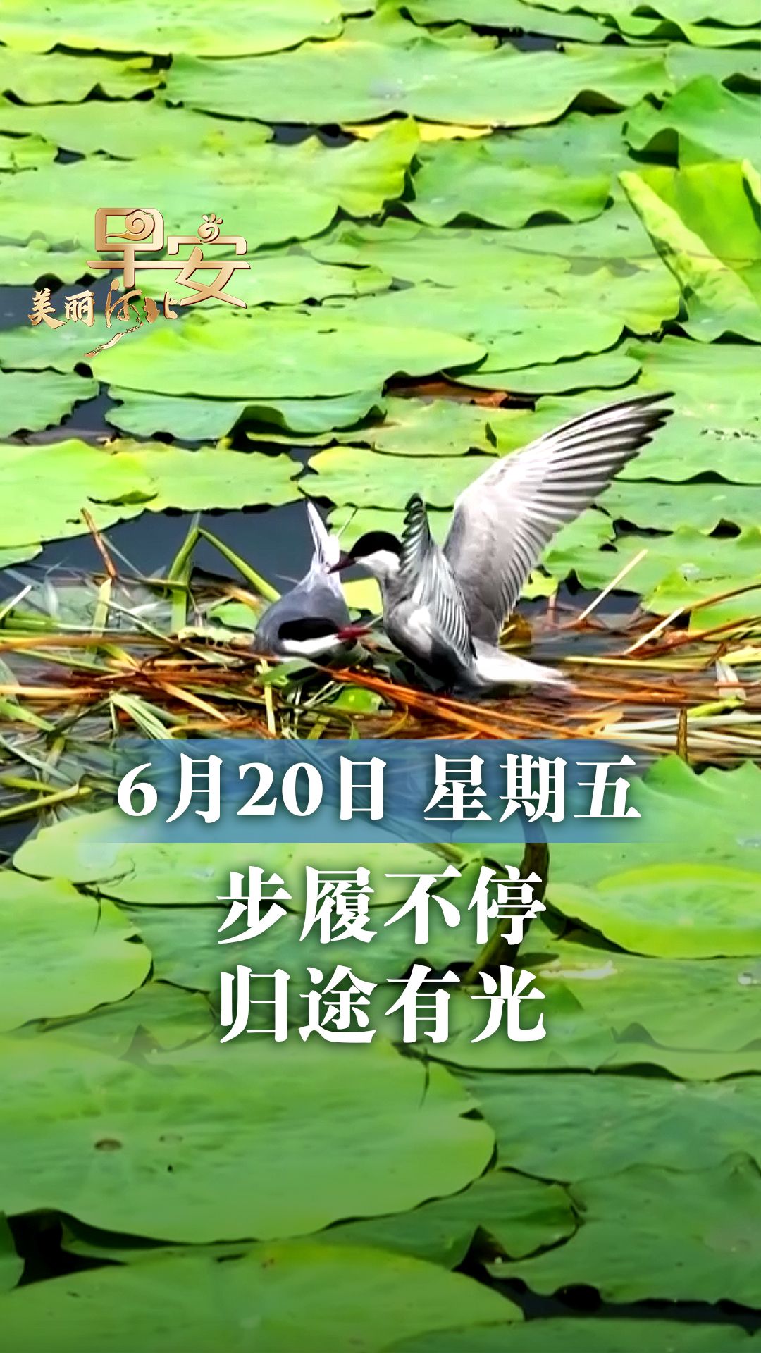 早安·美丽河北丨步履不停 归途有光