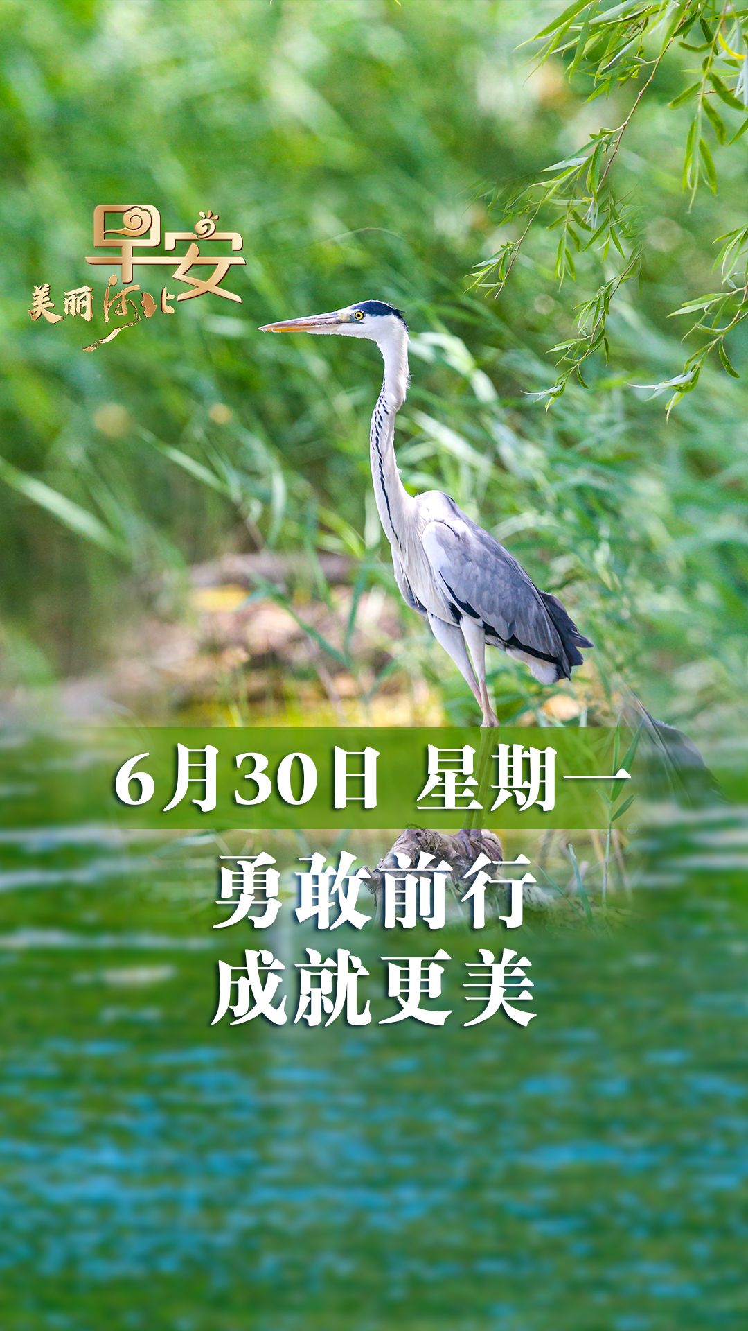 早安·美丽河北丨勇敢前行 成就更美