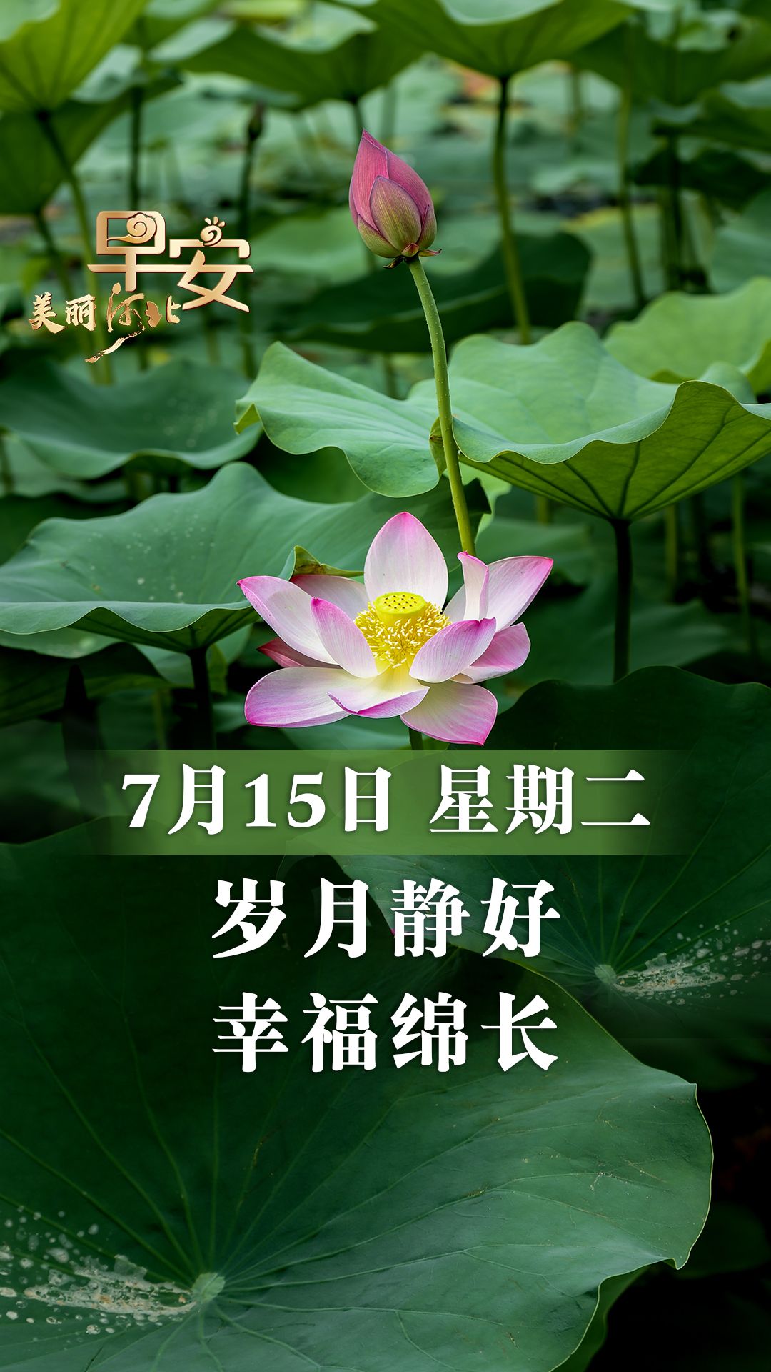 早安·美丽河北丨岁月静好 幸福绵长