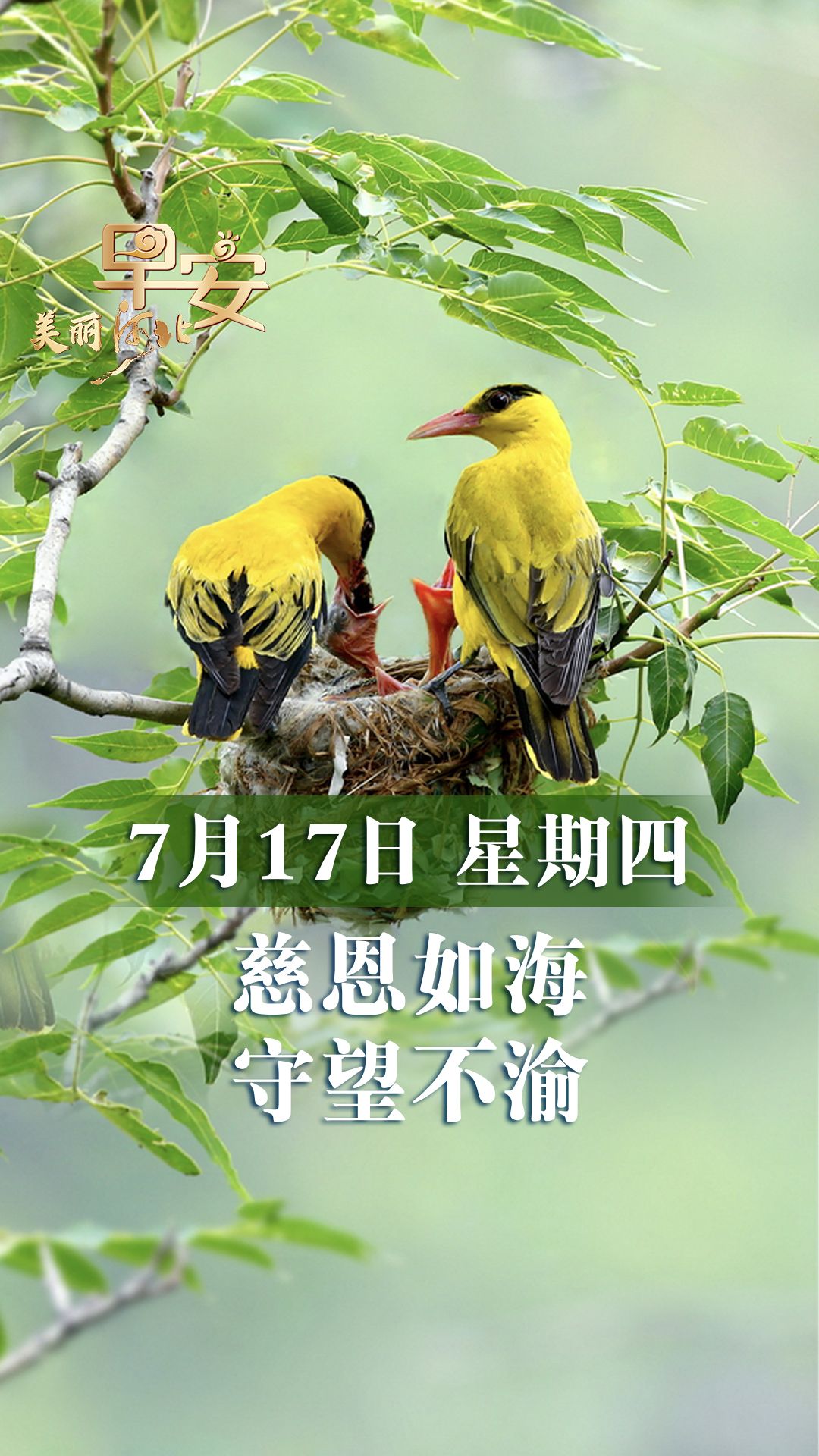 早安·美丽河北丨慈恩如海 守望不渝