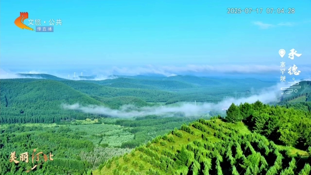 美丽河北慢直播丨20℃清凉！畅游塞罕坝无边林海~承德 清晨 2025/07/17 #这么近，那么美，周末到河北