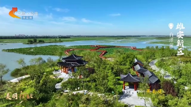 美丽河北慢直播丨燕南堤清波映碧空，美美美！雄安新区 清晨 2025/09/24 #这么近，那么美，周末到河北