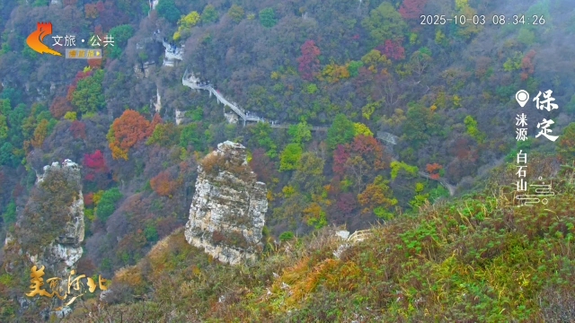 美丽河北慢直播•十一去哪儿？丨白石山秋日胜景，等你解锁！保定 清晨 2025/10/03 #这么近，那么美，周末到河北