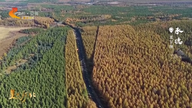 美丽河北慢直播•十一去哪儿？丨驱车穿行塞罕坝，一路秋景，一路欢歌 承德 正午 2025/10/06#这么近，那么美，周末到河北
