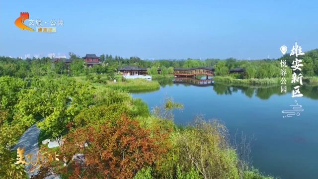 美丽河北慢直播丨打卡悦容公园，邂逅秋日园林之美 雄安新区 清晨 2025/10/17#这么近，那么美，周末到河北