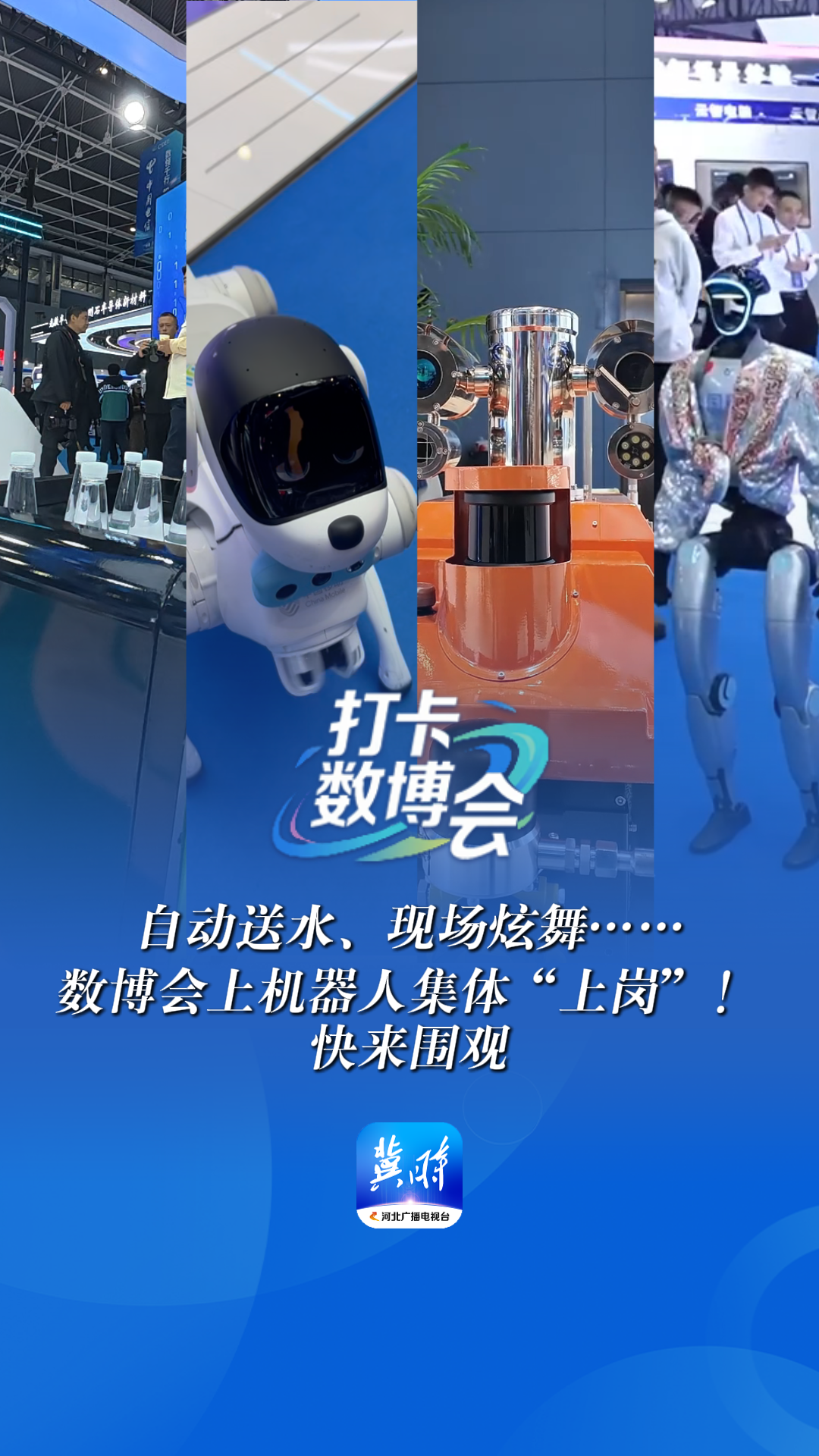 打卡数博会丨自动送水、现场炫舞……数博会上机器人集体“上岗”！快来围观