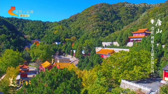 美麗河北慢直播丨古剎＋銀杏~秋天最佳CP就在禪林寺！正午 2025/10/26 #這么近，那么美，周末到河北