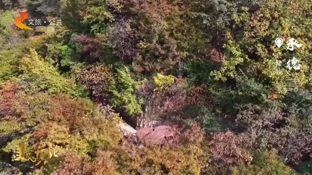 美麗河北慢直播?“冀”情山水丨興隆山滿目鎏金秋韻濃！正午 2025/10/26 #這么近，那么美，周末到河北