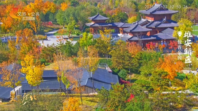 美丽河北慢直播丨快来！悦容公园正上演绝美的“色彩诗画展” 正午 2025/11/02#这么近，那么美，周末到河北