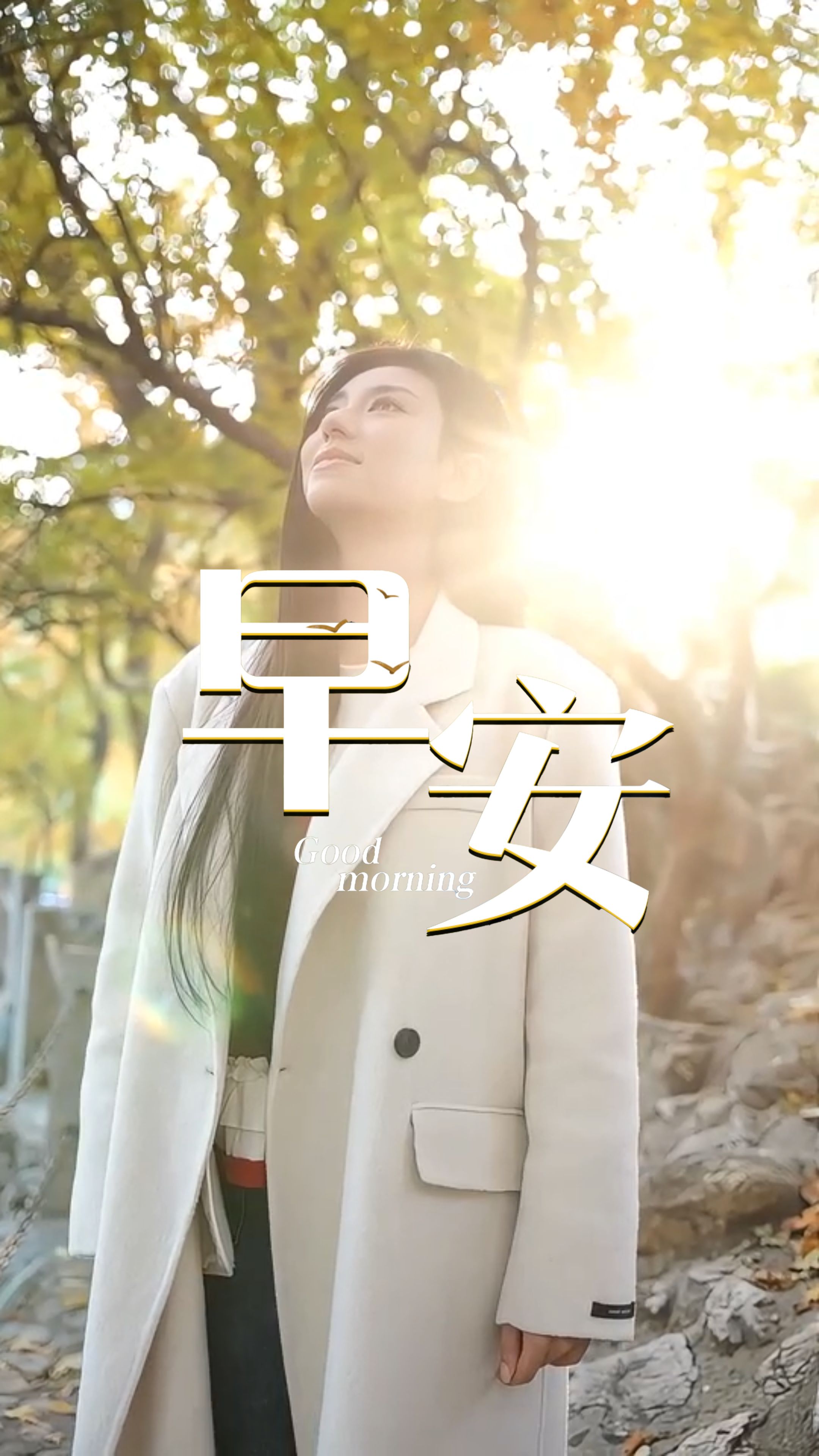 2025年11月6日，早安！晨光洒落肩头，与银杏一同闪耀。在每一个平常的日子里，愿你的努力如种子，在寂静中扎根，在时光里结果。