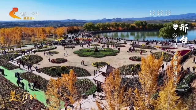 美丽河北见证官韩长青作品欣赏丨奔向栾卸银杏风景区，把蓝天和缤纷多彩的景色装进相机里