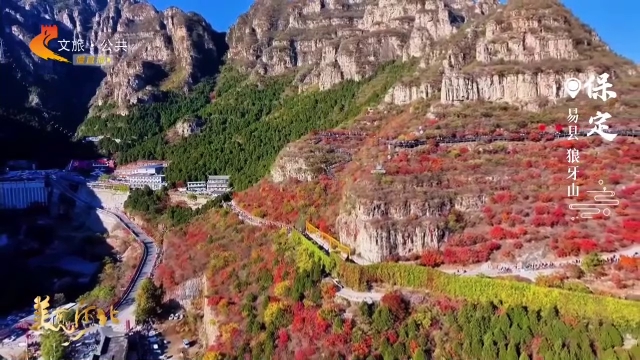 美丽河北慢直播•太行山文化旅游带丨狼牙山红叶进入最佳观赏期！这份“醉”美徒步攻略请收好 正午 2025/11/11#这么近，那么美，周末到河北