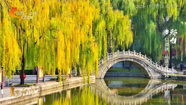 美丽河北慢直播丨漫步达活泉公园，沉浸式体验大自然的色彩魔法 正午 2025/11/11#这么近，那么美，周末到河北