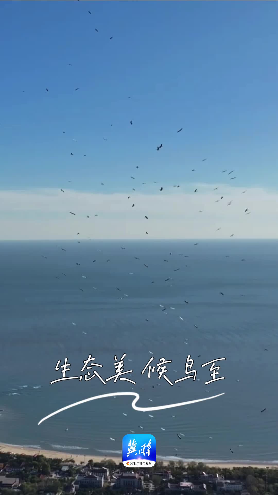 秦皇島北戴河：海岸最佳觀鳥季上線