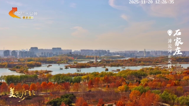 美丽河北慢直播丨风景这边独好！滹沱河正定段，等你来入画 正午 2025/11/20#这么近，那么美，周末到河北
