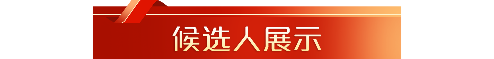 候选人展示