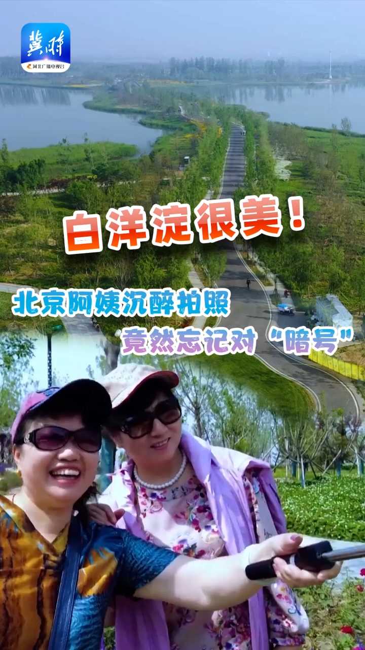 白洋淀很美！北京阿姨沉醉拍照，竟然忘了跟记者对“暗号”｜美丽河北慢直播开麦啦