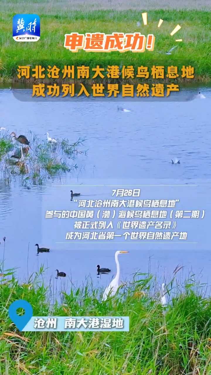 申遗成功！河北沧州南大港候鸟栖息地成功列入世界自然遗产
