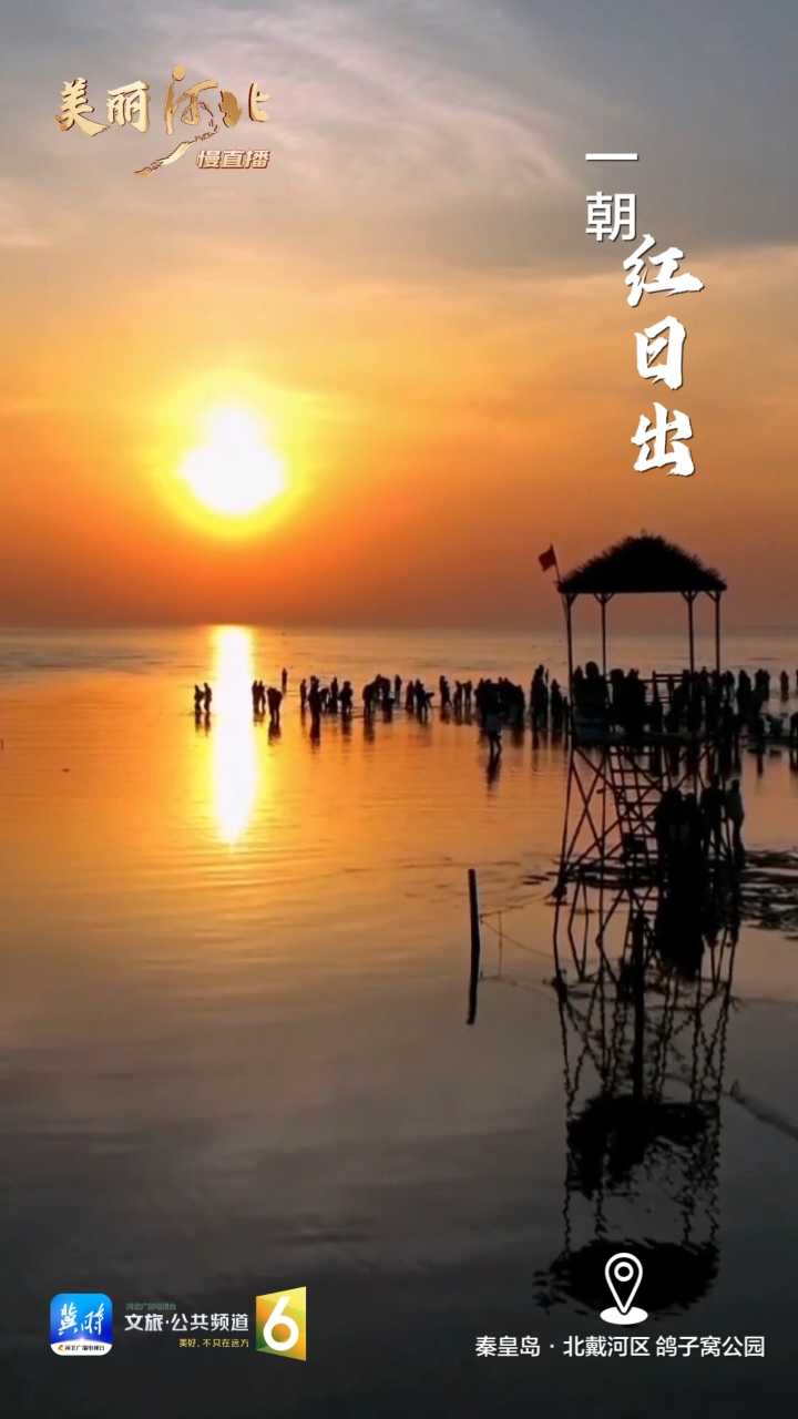 动海报｜美丽河北慢直播·秦皇岛北戴河区鸽子窝公园