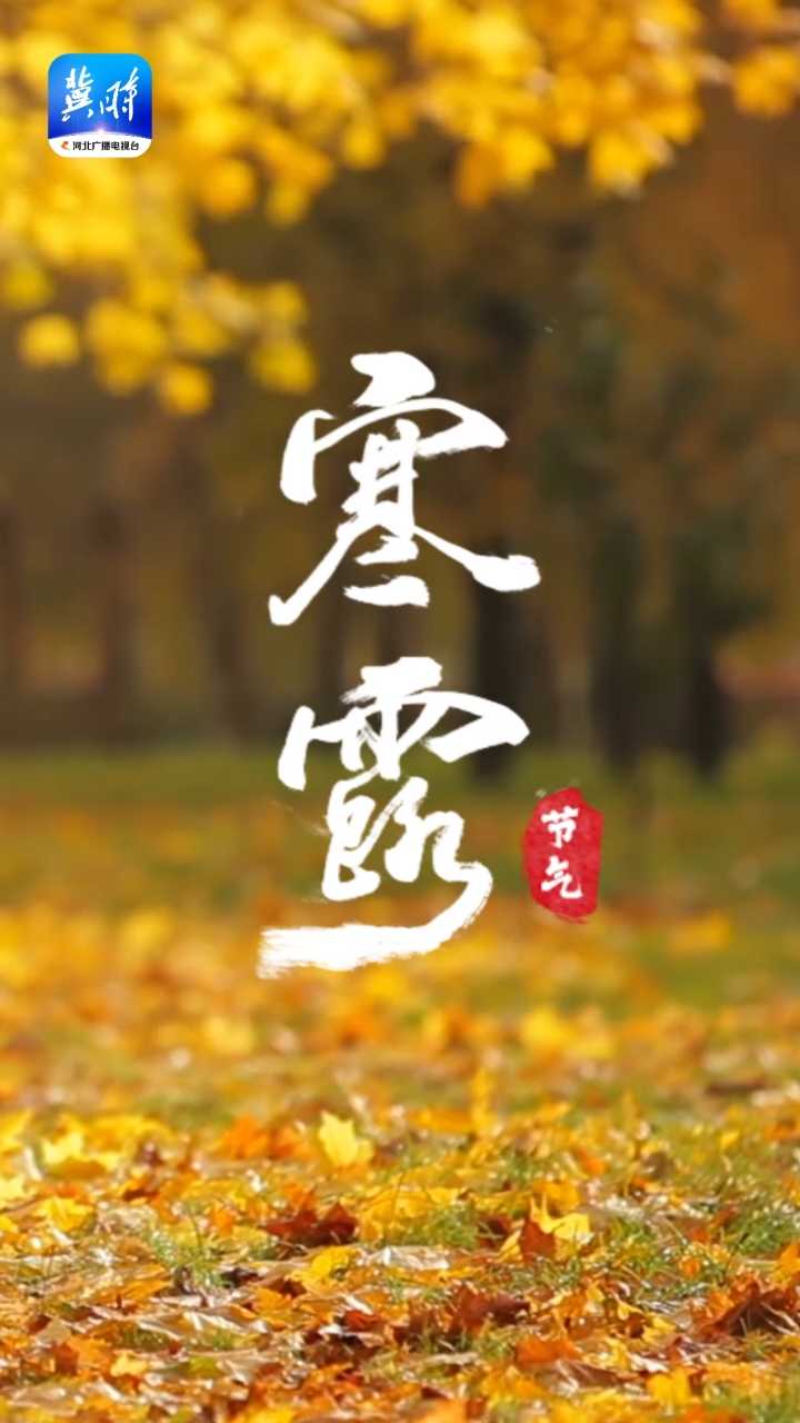 寒露·秋长漫漫 且问君安