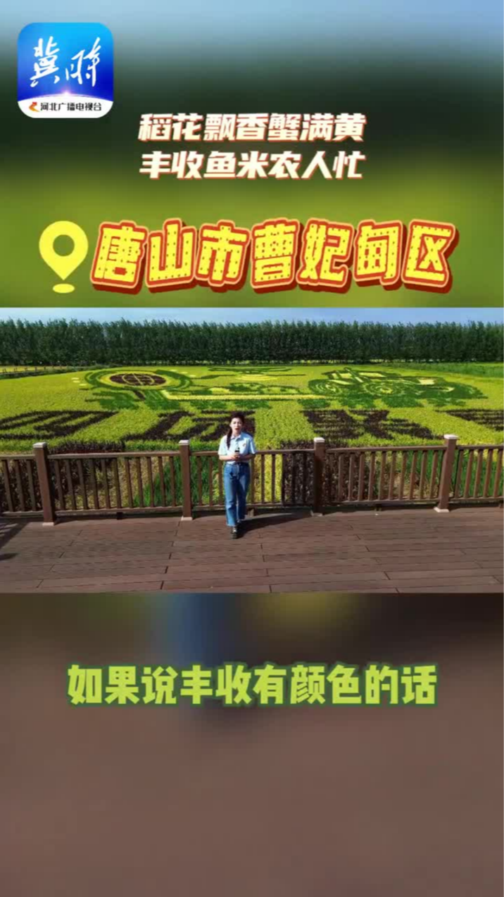 稻花香，蟹满黄。北京市螃蟹大赛的＂口感王＂出笼！来唐山曹妃甸实现螃蟹自由喽～