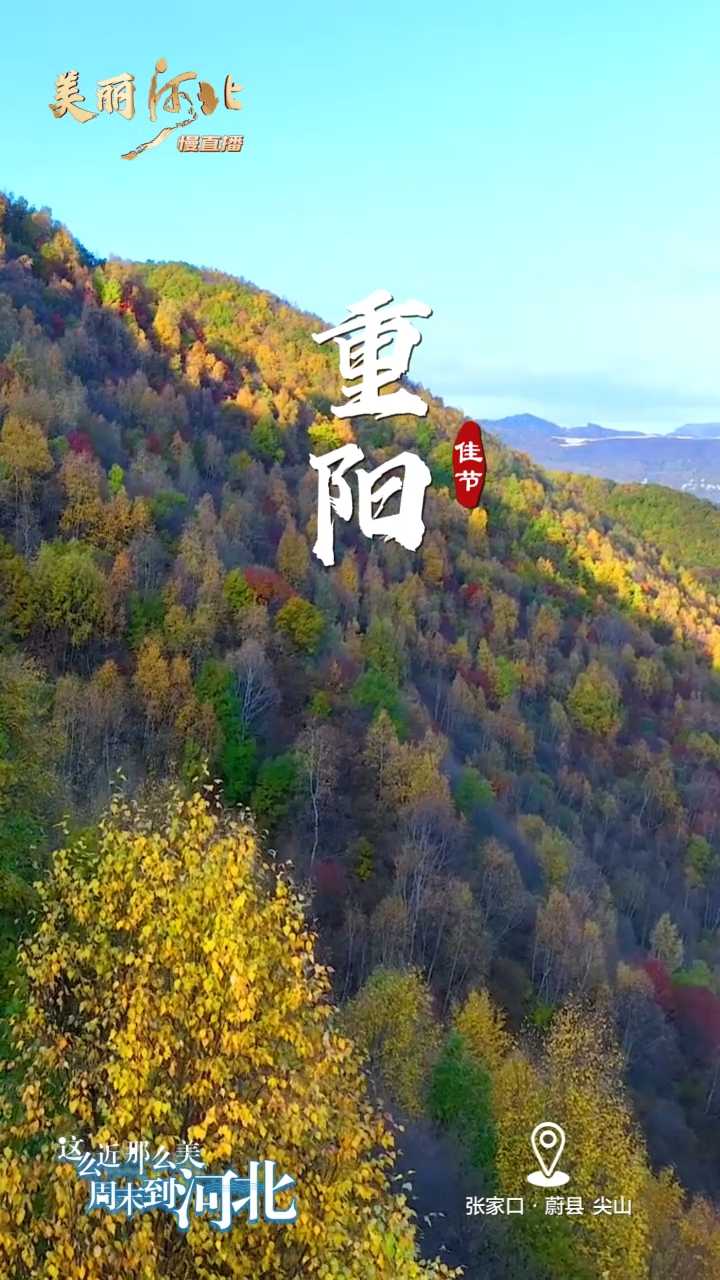 动海报｜美丽河北慢直播·张家口蔚县尖山