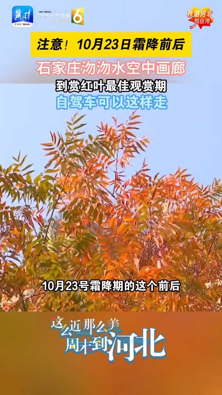 注意！10月23日霜降前后，石家庄沕沕水空中画廊，到赏红叶最佳观赏期，自驾车可以这样走~~#秋游河北悦山河