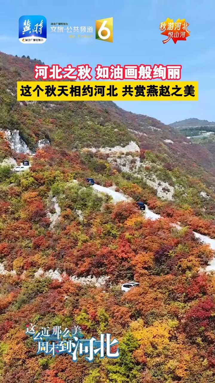 河北之秋 如油画般绚丽，这个秋天相约河北共赏燕赵之美#秋游河北悦山河