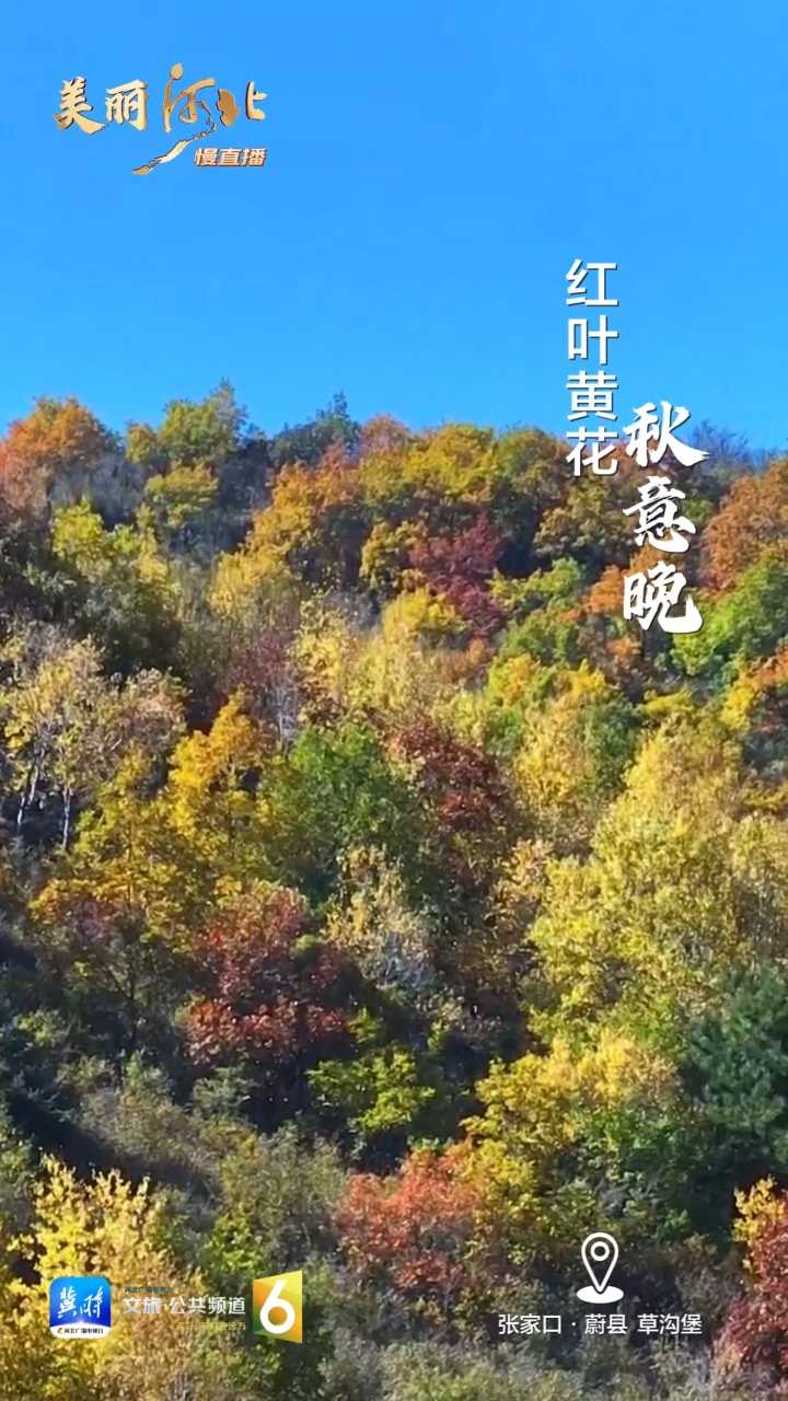 动海报｜美丽河北慢直播·张家口蔚县草沟堡