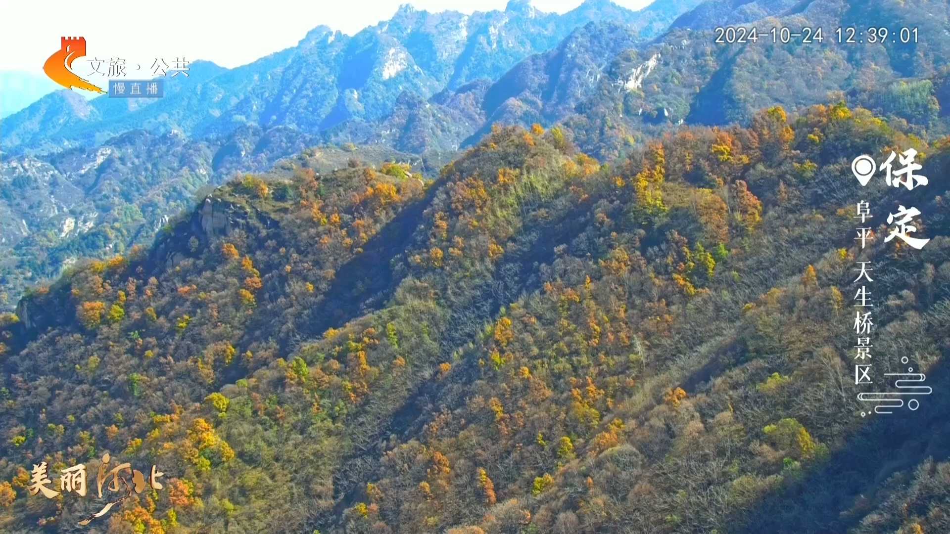 美丽河北慢直播•太行山文化旅游带丨秋游天生桥，邂逅大自然的调色盘 正午 2024/10/24#这么近，那么美，周末到河北